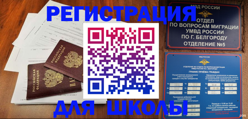 прописка поиск в Борзе